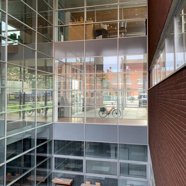 Algemene glasreiniging